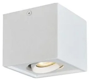Σποτ Φωτιστικό Οροφής Λευκό Arion 4260900 Viokef 4260900 Λευκό