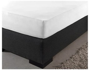 Σετ 4 King Size Σεντόνια Jersey Ξενοδοχειακής Ποιότητας 190 x 220 cm SleepMed 8719831792016 8719831792016