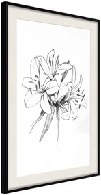 Αφίσα - Sketch of Lillies - 20x30 - Μαύρο - Με πασπαρτού