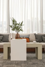 Stewehome Σετ 2 μοντέρνα τραπεζάκια σαλονιού από σαντουλάμ 50x90 cm