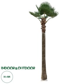 21057 GloboStar® Artificial Garden PLANT PALM TREE 21057 Διακοσμητικό Δέντρο Φοίνικα Φ240 x Υ600cm