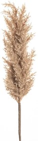 Κλαδί Με Pampas Καφέ 100εκ. iliadis 84722