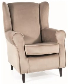 FOTEL BARON VELVET C. BEŻ BLUVEL 40 / WENGE DIOMMI-80-3144