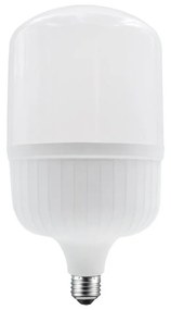 Λαμπτήρας Led P14048nw E27 48W 4000K 4590lm Aca