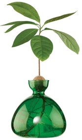 Βάζο Για Ανάπτυξη Καρπού Αβοκάντο 009 15x15cm Emerald Green Ilex Studio Glass