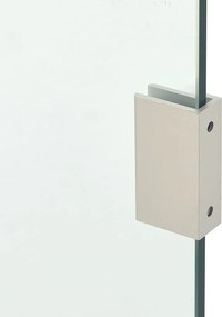 vidaXL Πλαϊνό Πάνελ για Στέγαστρο Πόρτας Διάφανο 50x100 εκ. Ψημ. Γυαλί