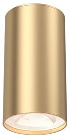Φωτιστικό Σποτ Braytron BH04-00506 Χρυσό Ματ (Gold Mat- Satin)