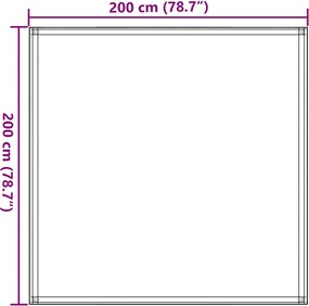 vidaXL Χαλί Σκηνής Μαύρο 200 x 200 εκ.