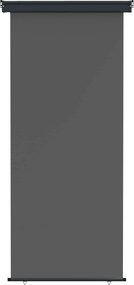 vidaXL Αυλούπα Πλευράς Μπαλκονιού 80 x 250 cm