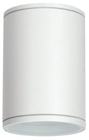 E27 PAR30 ROUND CEILING LUMINAIRE 230V AC MATT WHITE IP65 MAX.35W ACA LG2302E27W