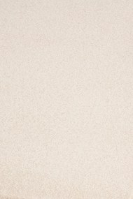 Χαλί Barbados 69 Ivory Colore Colori 300X400cm