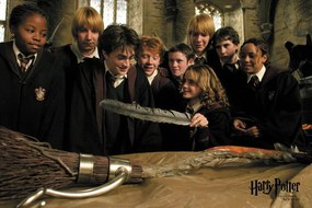 Εκτύπωση τέχνης Harry Potter - Firebolt racing, (40 x 26.7 cm)