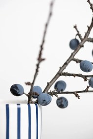 Φωτογραφία Berries Blue, Studio Collection