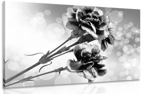 Εικόνα λουλουδιού γαρύφαλλου σε ασπρόμαυρο - 60x40