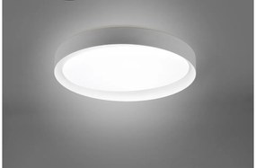 Πλαφονιέρα Φωτιστικό Οροφής LED 24W IP20 Zeta R62712411 Trio Lighting-R62712411-Γκρι R62712411