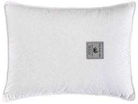 Μαξιλάρι Gl.Bebe White Guy Laroche 30x40cm 100% Βαμβάκι