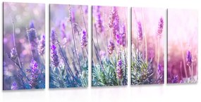 Εικόνα 5 μερών μαγικών λουλουδιών λεβάντας - 200x100