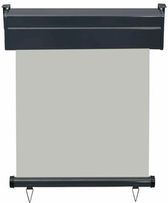 vidaXL Σκίαστρο Βεράντας Πλαϊνό Γκρι 65 x 250 εκ.