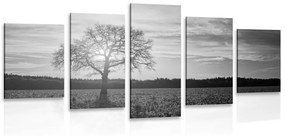 Εικόνα 5 μερών ενός μοναχικού δέντρου σε ασπρόμαυρο - 200x100