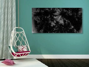 Εικόνα ασπρόμαυρο τροπικό δάσος - 120x60