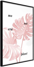 Αφίσα - Pale Pink Monstera - 20x30 - Μαύρο - Χωρίς πασπαρτού