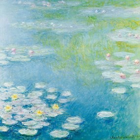 Αναπαραγωγή Nympheas at Giverny (1908), Claude Monet