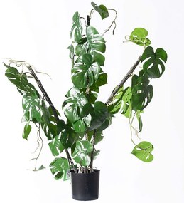 Τεχνητό Φυτό Μονστέρα Minima Vining 6161-7 30x75cm Green Supergreens Polyethylene