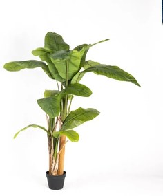 Supergreens Τεχνητό Δέντρο Μπανανιά "Musa Arbor" με Διπλό Κορμό Πράσινο160 εκ