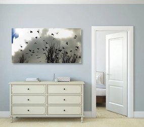Εικόνα κοπάδι κοράκια - 100x50