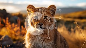 Intra Συλλεκτικό Ξύλινο Παζλ Plywood  4mm - Αξιολάτρευτο Lion Cub σε ένα χωράφι με ψηλό γρασίδι Σε Ξύλινο Κουτί - Διαστάσεις: 10x10 cm – 25 κομμάτια