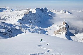 Φωτογραφία Off-piste skier in powder snow, Geir Pettersen