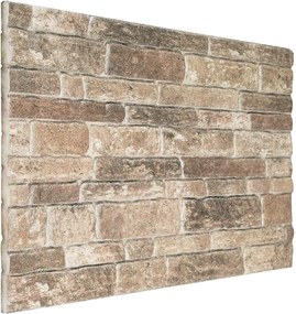 vidaXL Πάνελ τοίχου 10 pcs Πολύχρωμο 100 x 50 cm Αφρός EPS