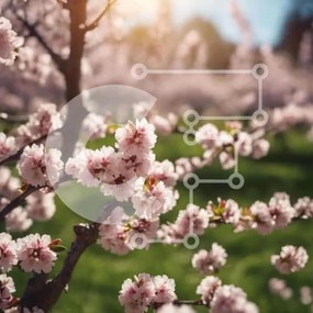 Intra Συλλεκτικό Ξύλινο Παζλ Plywood  4mm - Cherry Blossom Tree σε πλήρη άνθιση με ηλιοφάνεια Σε Ξύλινο Κουτί - Διαστάσεις: 10x10 cm – 25 κομμάτια