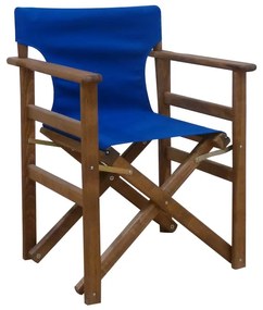 ΣΚΗΝΟΘΕΤΗ ΤΟΡΙΝΟ ΚΑΡΥΔΙ ΜΕ ΜΠΛΕ ΥΦΑΣΜΑ 59X51X85εκ.
