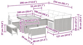 vidaXL Σετ Σαφακιών Κήπου 12 Τεμαχίων με Μαξιλάρια Μπεζ Πολυ Ρατάν Ακακία
