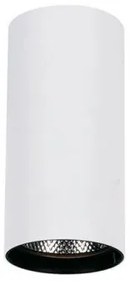 Σποτ Φωτιστικό Οροφής LED 30W Λευκό Downlight Nestor 4214400 Viokef-4214400-Λευκό 4214400
