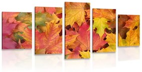 5 μέρη εικόνα φθινοπωρινά φύλλα - 100x50