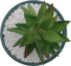 Τεχνητό Φυτό σε Κεραμικό Γλαστράκι "Nice" 11x17cm - Πράσινο