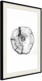 Αφίσα - Tree Rings - 20x30 - Μαύρο - Με πασπαρτού