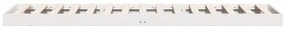 vidaXL Κρεβάτι δαπέδου Λευκό 80 x 220 cm Μασίφ ξύλο πεύκου