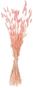ΔΙΑΚΟΣΜΗΤΙΚΟ ΜΠΟΥΚΕΤΟ ΑΠΟΞΗΡΑΜΕΝΟ HM7960 RABBIT TAIL-PINK 75Υεκ.