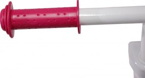 Princess Loopfiets 12 Inch Girls Pink