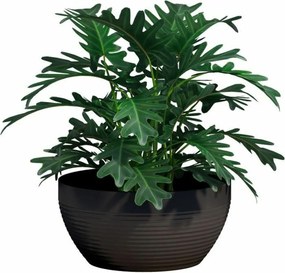 Βάζο Λουλουδιών Garden ID Μαύρο 35 x 16 cm