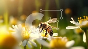 Intra Συλλεκτικό Ξύλινο Παζλ Plywood 4mm - Bee on Daisy Flowers Σε Ξύλινο Κουτί - Διαστάσεις: 10x10 cm – 25 κομμάτια