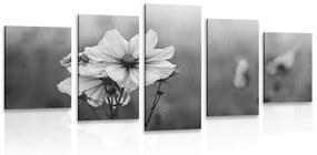 Εικόνα 5 μερών ενός ανθισμένου λουλουδιού σε ασπρόμαυρο