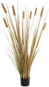 Τεχνητό Φυτό Typha Grass 21483 70x40x150cm Green-Brown GloboStar PVC