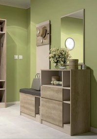 ΣΥΝΘΕΣΗ ΕΙΣΟΔΟΥ PANDORA 1 160х185х37 DIOMMI 42-019