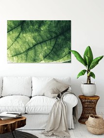 Πίνακας σε καμβά Πράσινο φύλλο KNV1664 30cm x 40cm
