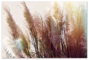 Πίνακας σε καμβά "Soft Pampas" Megapap ψηφιακής εκτύπωσης 125x80x3εκ.-GP033-0123