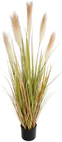 Τεχνητό Φυτό Pampas Grass 21477 120cm Green-White GloboStar Πολυαιθυλένιο